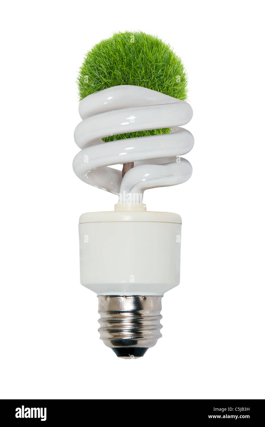 Replenish resources shown by a tree growing from spiral light bulb