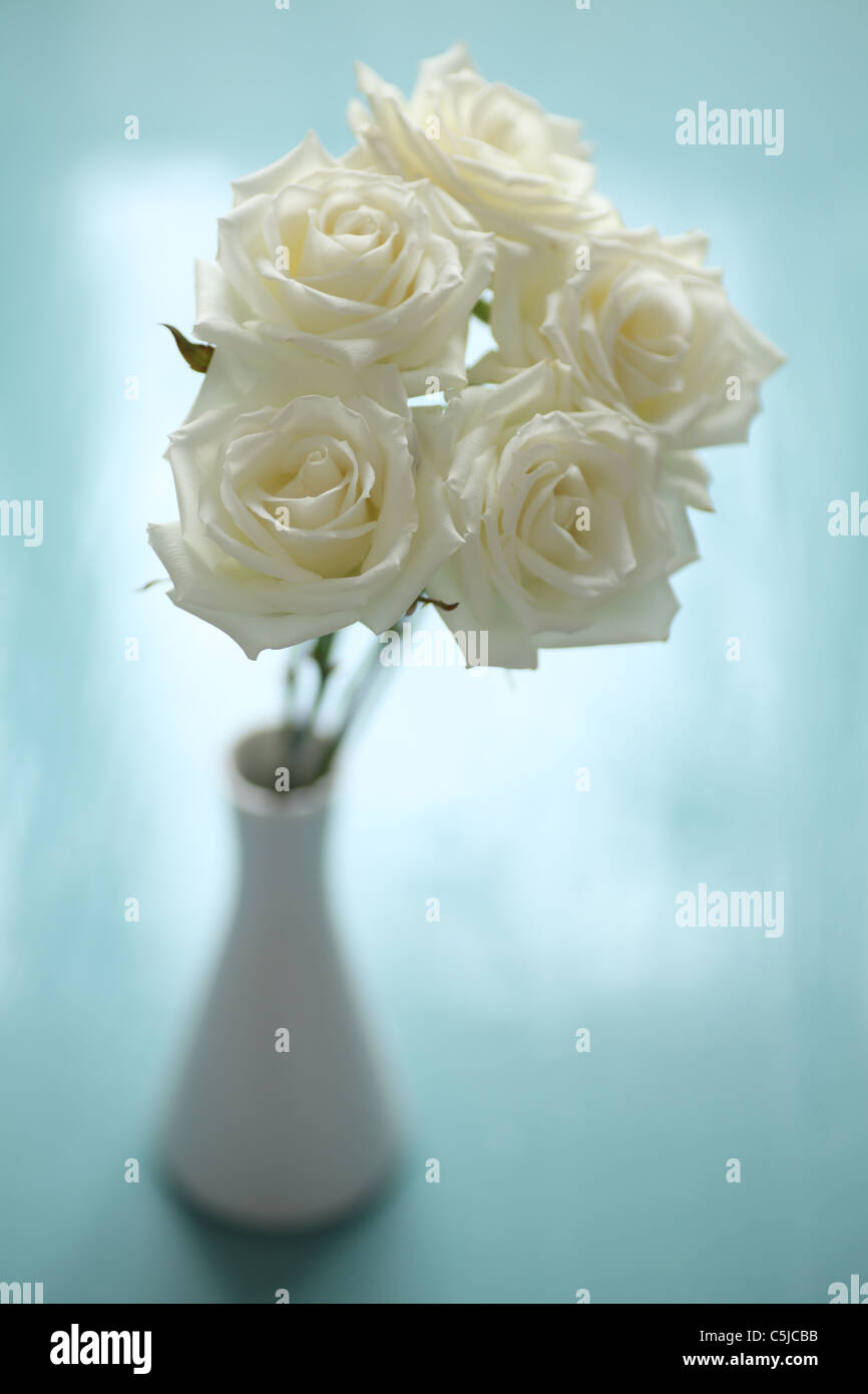 beautiful colorful flower Stock Photo - Alamy