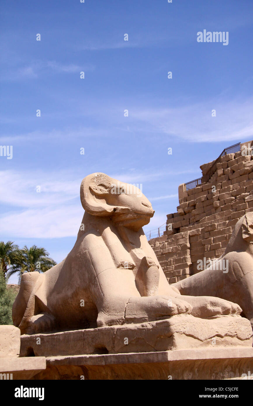Rams at the Karnak Stock Photo