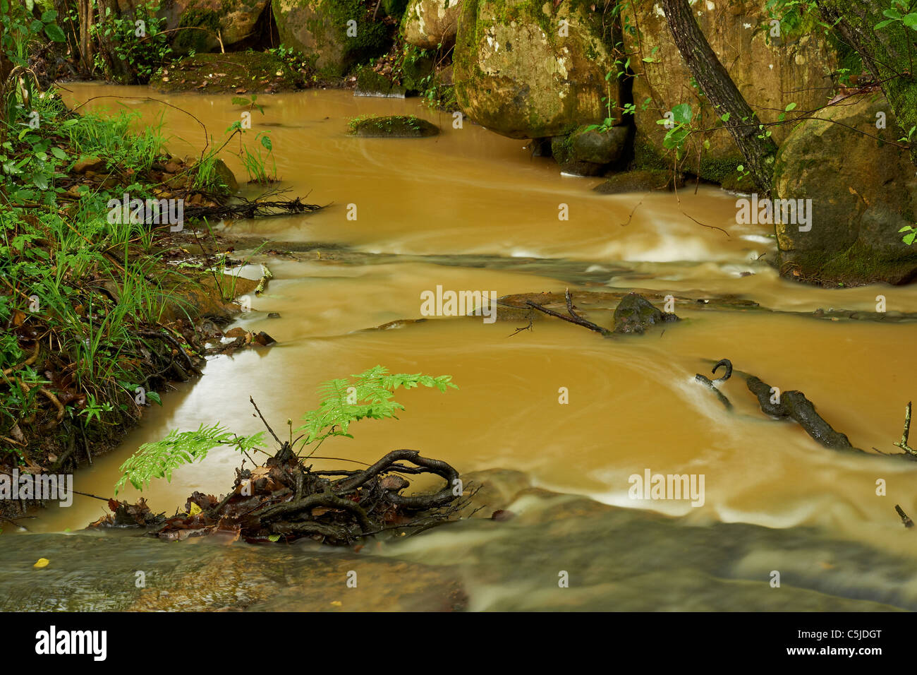creek after the rain ocher Los Alcornocales andalusia Stock Photo