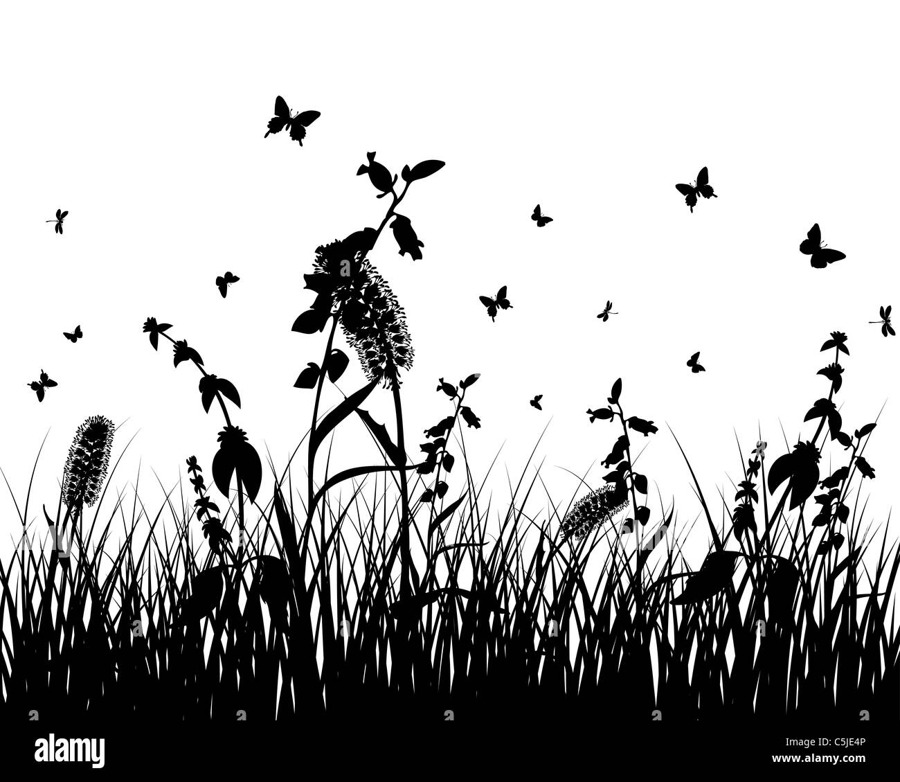 Vector grass silhouettes background. All objects are separated Stock ...
