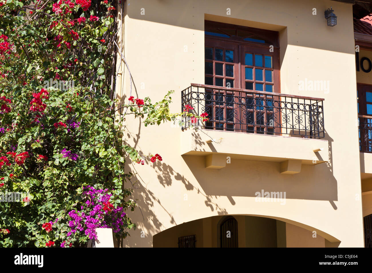 Bougainvillea climbs the wall next to a balcony with French doors on a building in Belize City, Belize Stock Photo