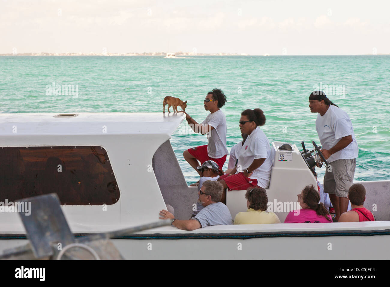 Charter boat crew with Chihuahua dog in Belize City, Belize Stock Photo