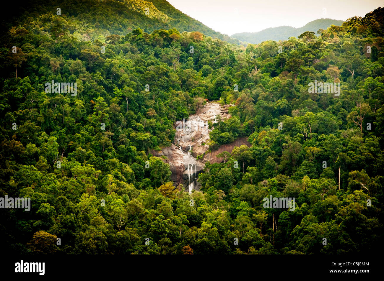 Amazing waterfall revealed through thick green jungle Stock Photo