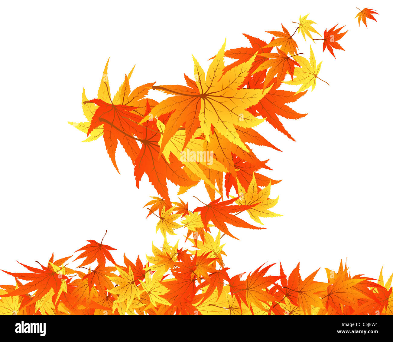 Pattern of autumn maples leaves. Vector illustration Stock Photo - Alamy