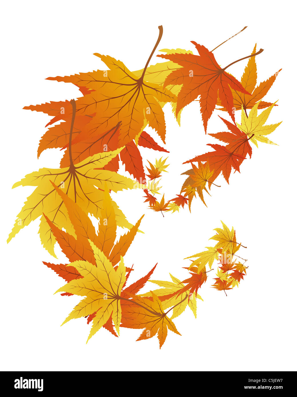 Pattern of autumn maples leaves. Vector illustration Stock Photo - Alamy