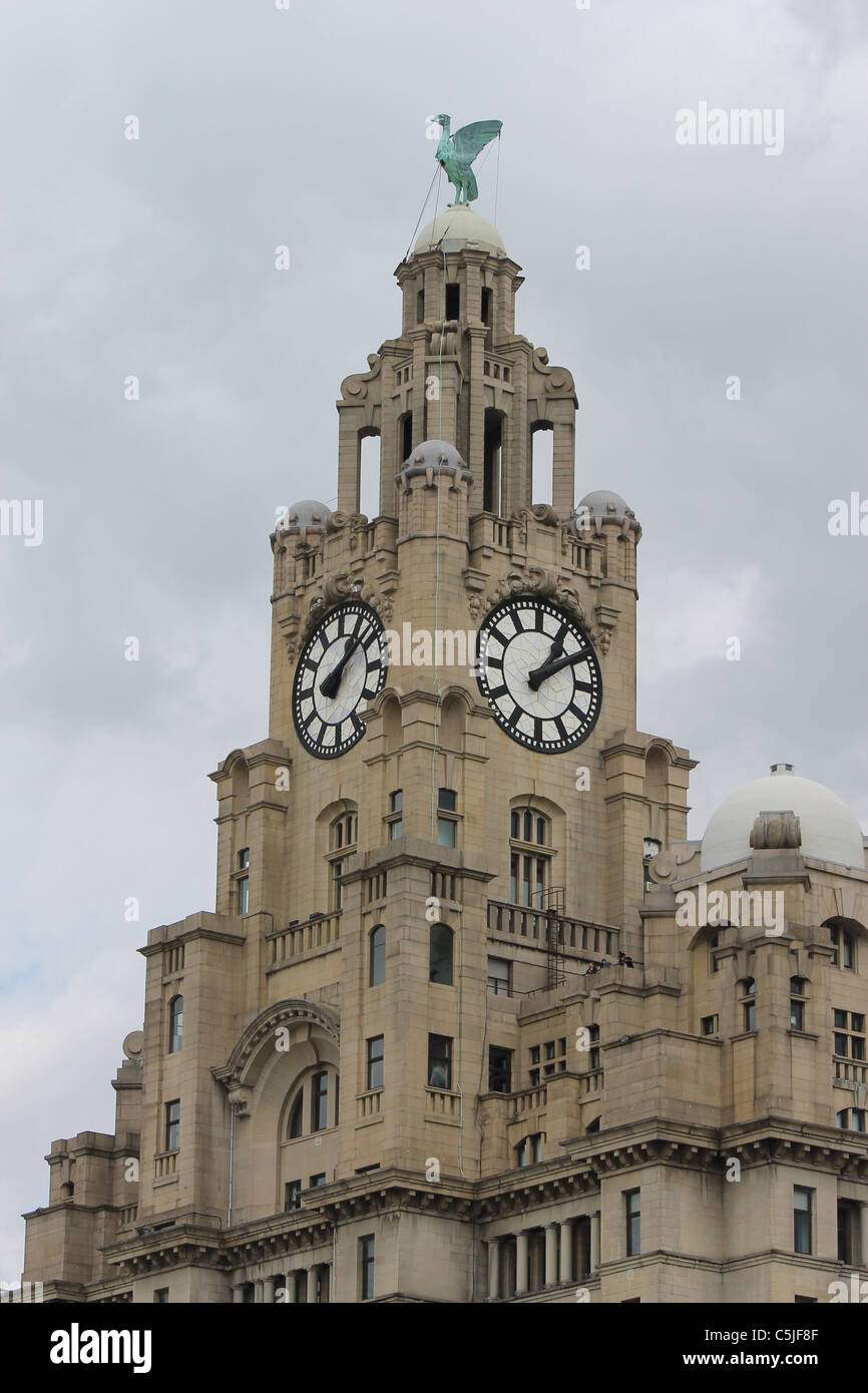 The Liver Building, Liverpool, showing the female Liver Bird and largest clock face in the UK Stock Photo