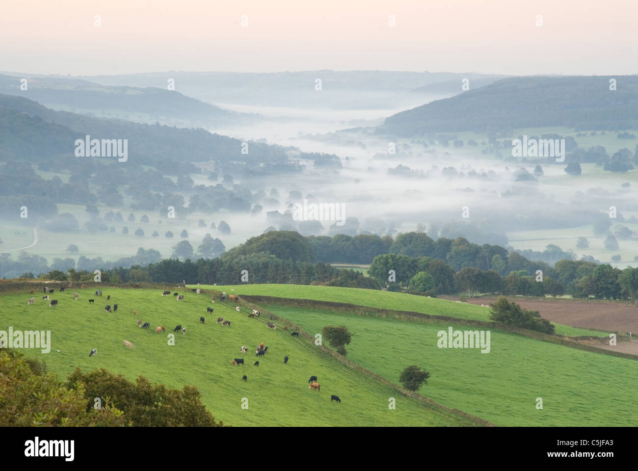 Autumn morning with cloud inversion overlooking the Chatsworth Valley in the Peak District National Park Stock Photo