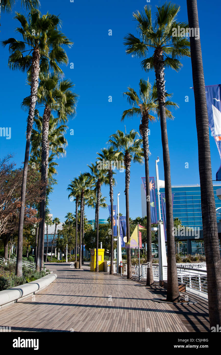 View of Long Beach from the Boardwalk