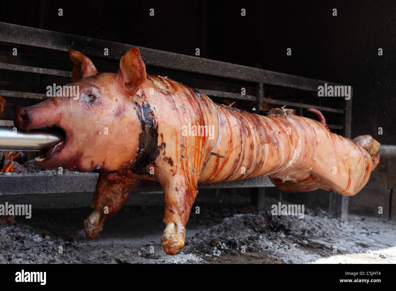 Bbq pigs 2025