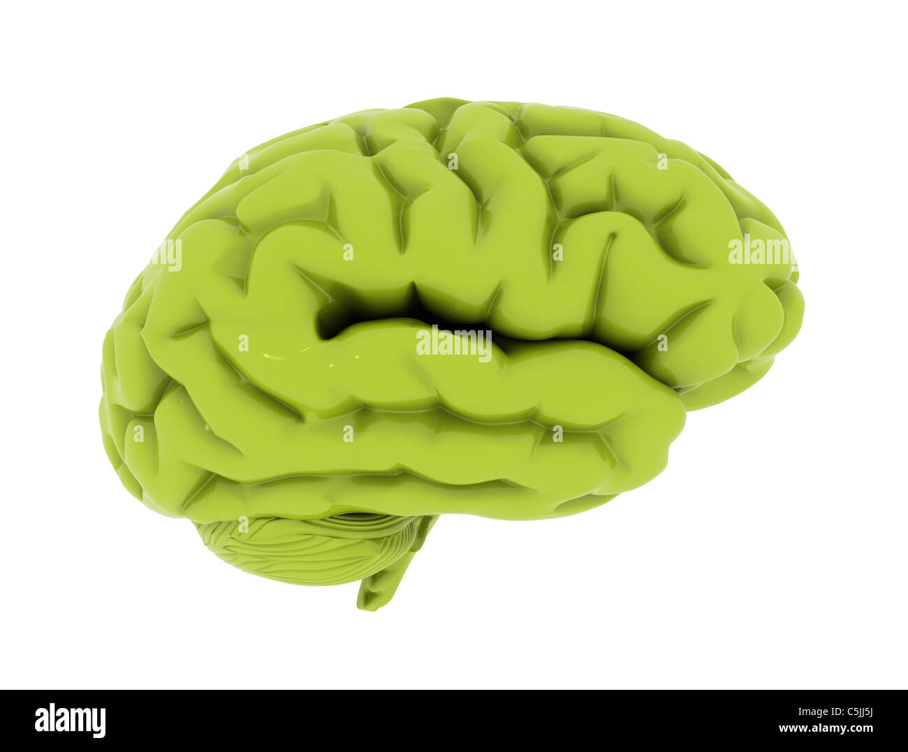 Human brain Stock Photo