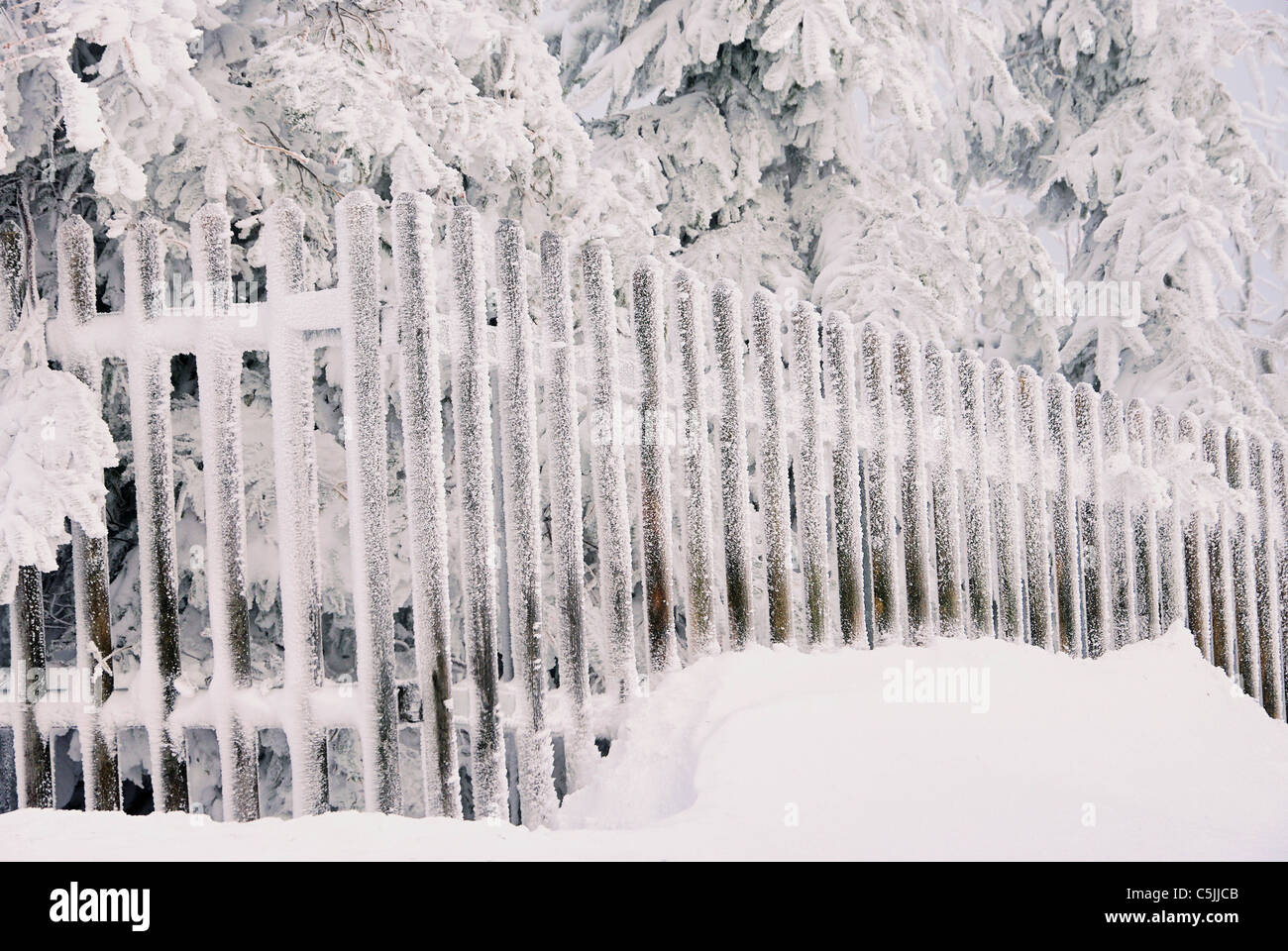Zaun im Winter - fence in winter 02 Stock Photo