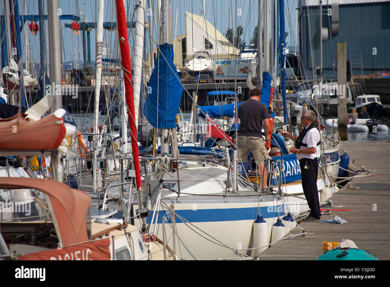 Harbour Master collecting berthing fees at Lymington Harbour quay, Lymington, Hampshire UK in June Stock Photo