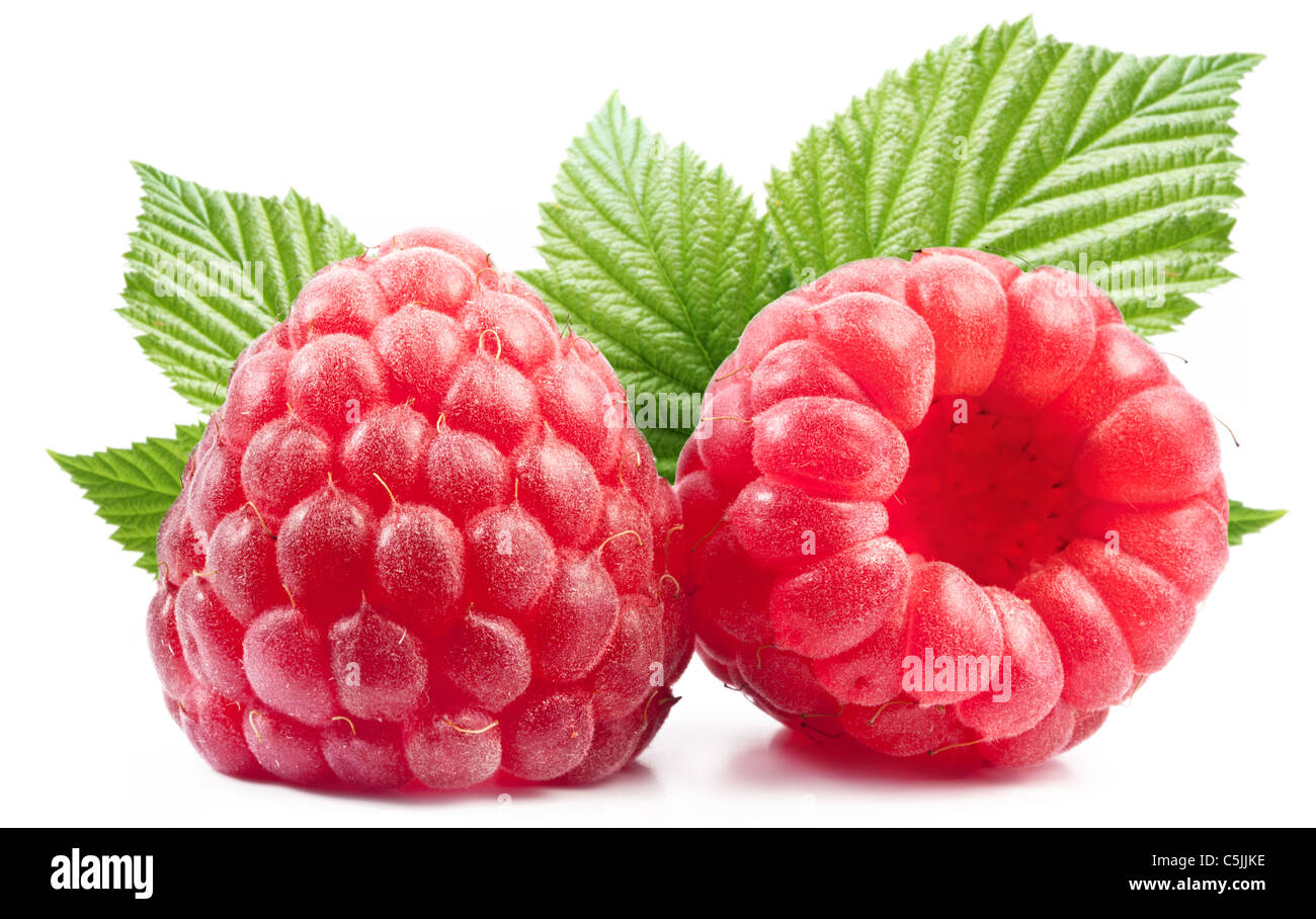 Two perfect raspberries with leaves. Isolated on a white background. Stock Photo