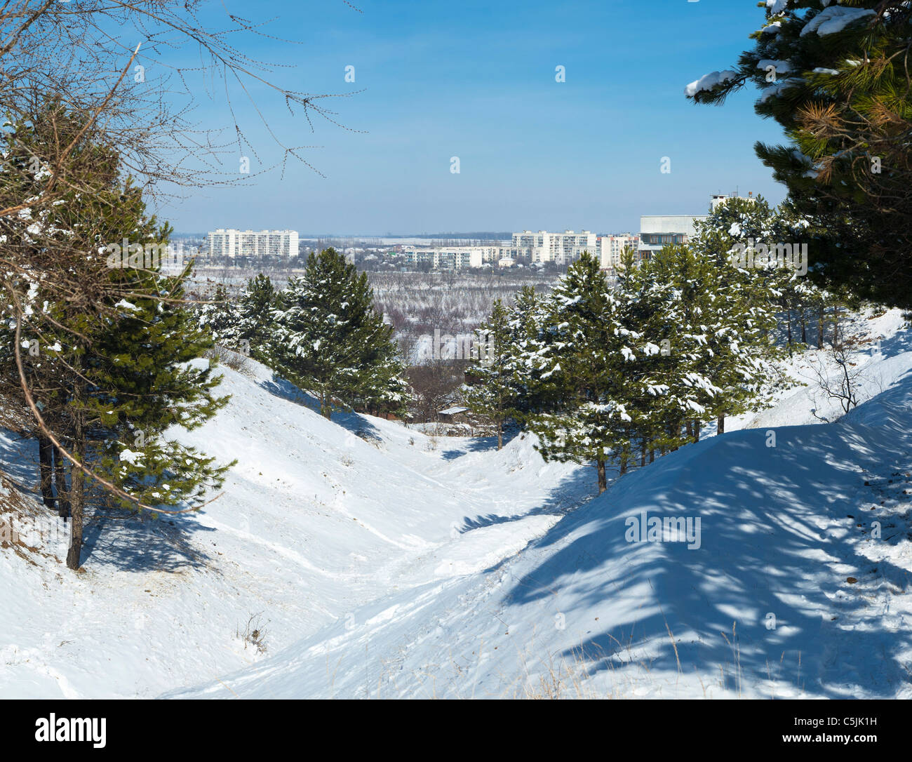 Digital composition snow landscape trees hi-res stock photography and ...