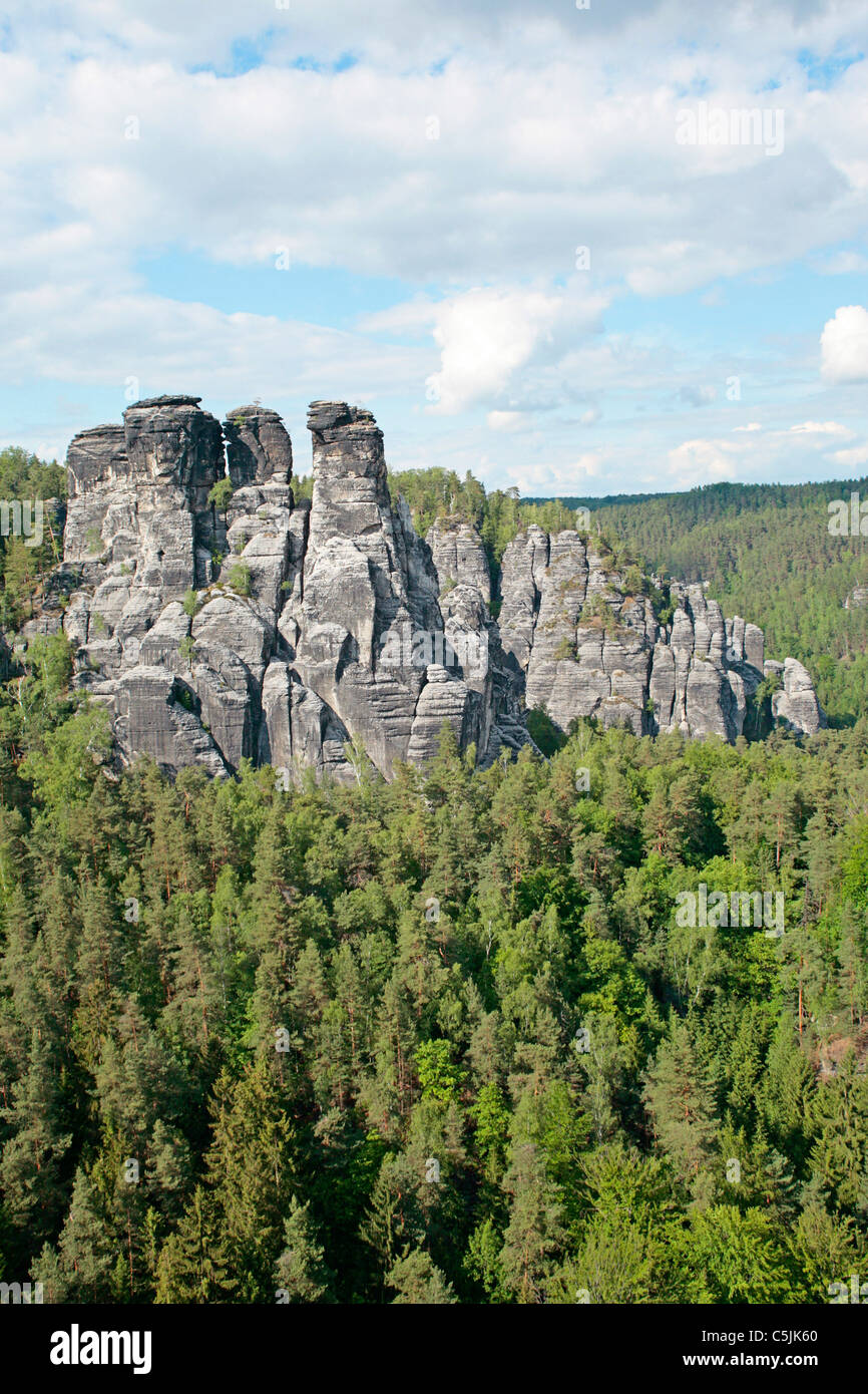 Gansfelsen (goose rocks) near Rathen in Saxon Switzerland, Elbe Sandstone Massif, Saxony, Germany Stock Photo