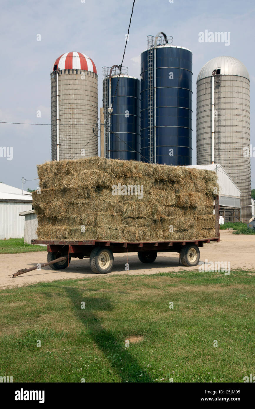 Hay wagon on Michigan dairy farm USA Stock Photo