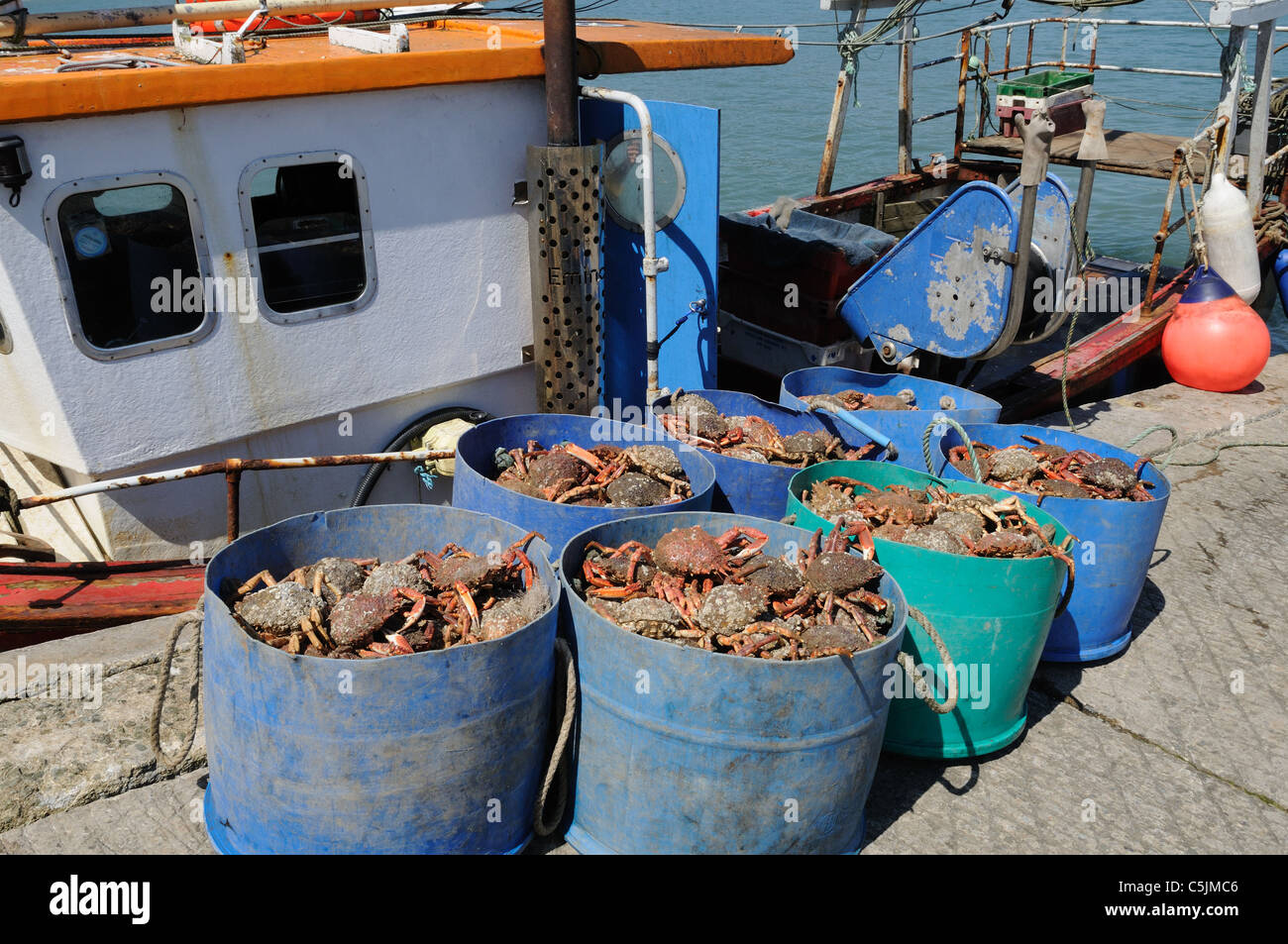 Crabs in tubs hires stock photography and images Alamy