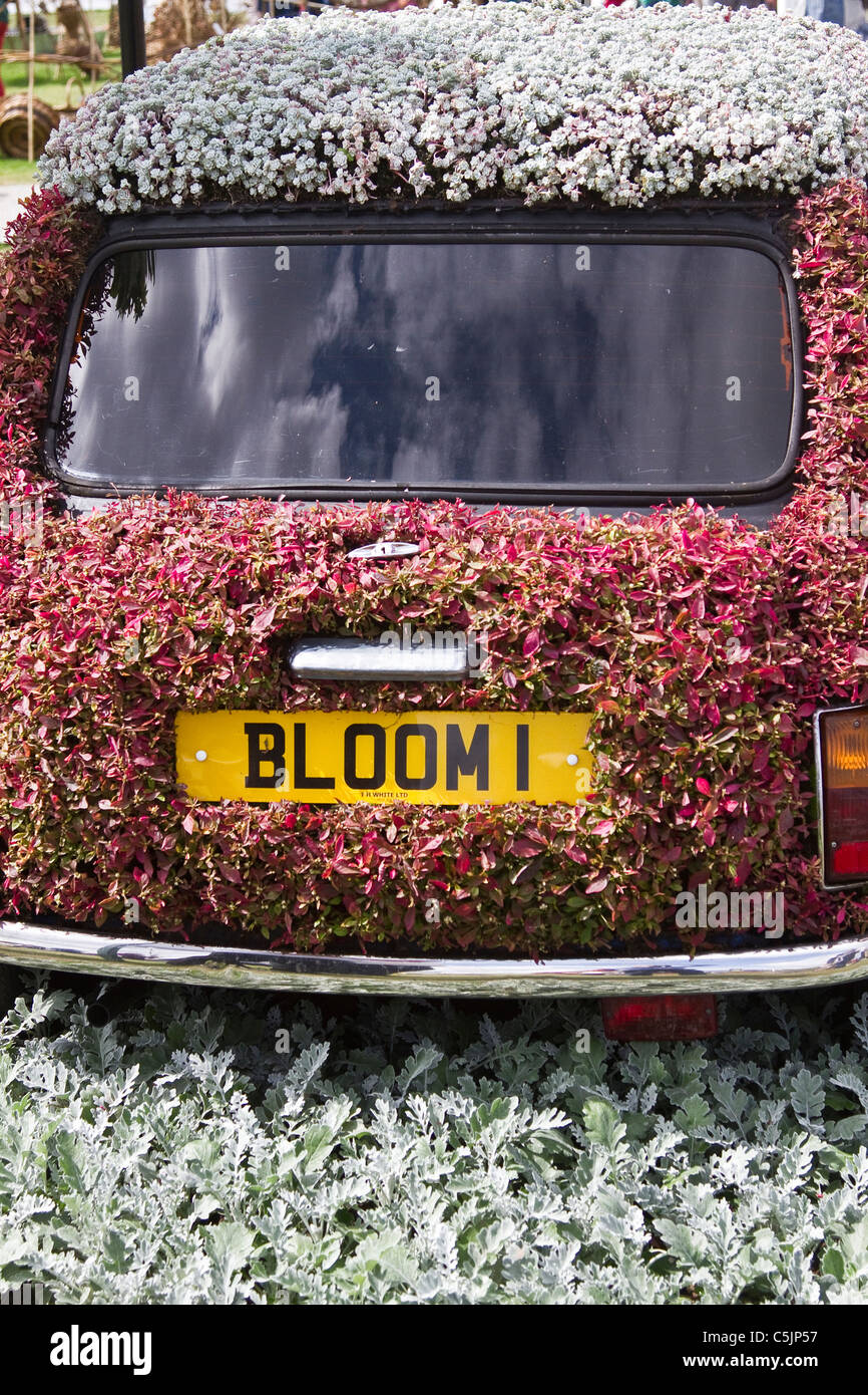 Birmingham City Council's Mini Cooper 'Bloom 1' at RHS Royal Horticultural Show Tatton Park, Cheshire, July 2011. Stock Photo