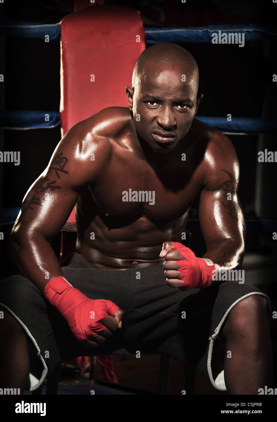Portrait of male black boxer in the ring Stock Photo Alamy