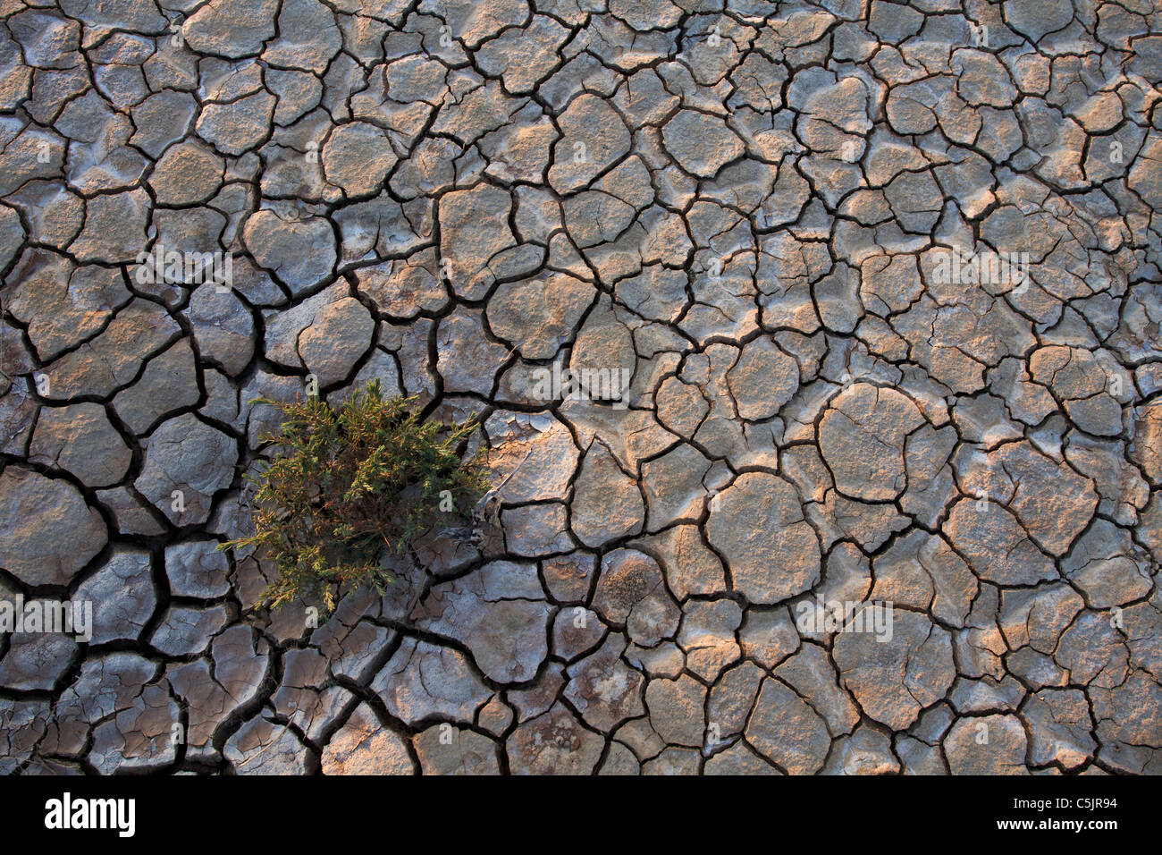 Dry lake bed, Anza-Borrego Desert State Park, California. Stock Photo