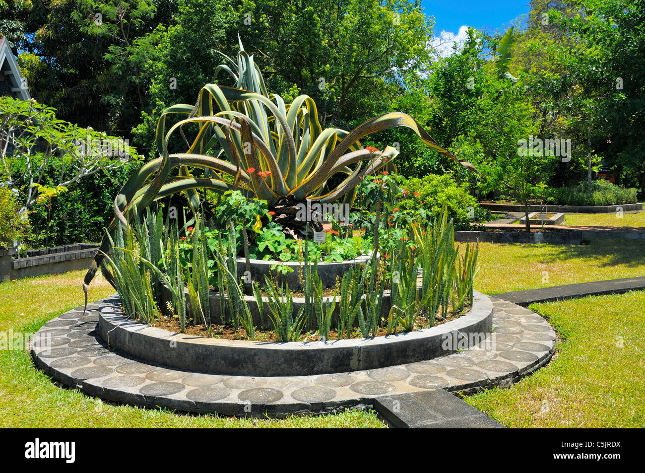 Plant arrangement inside one of the gardens at Sir Seewoosagur Ramgoolam Botanic Garden, Pamplemousses, Mauritius. Stock Photo