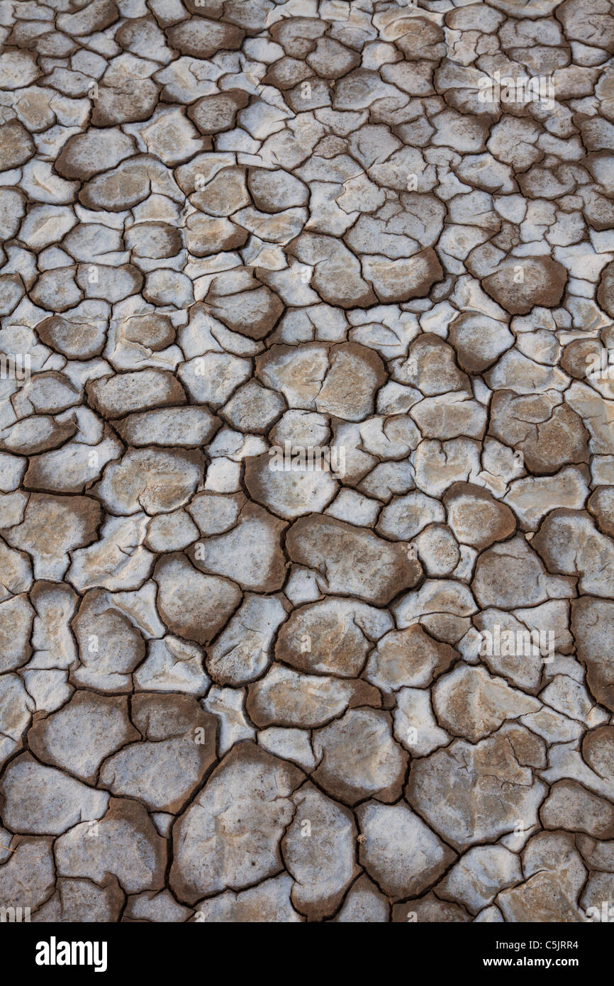 Mud cracks in a dry lake bed, Anza-Borrego Desert State Park, California. Stock Photo