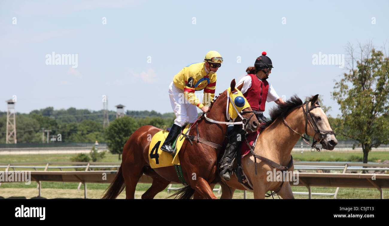 Jocky Stock Photo - Alamy