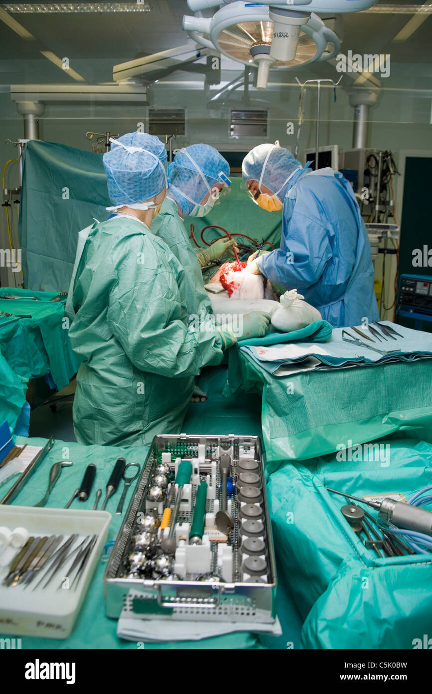 Hip replacement surgery, tray with trial cups and reamers in different