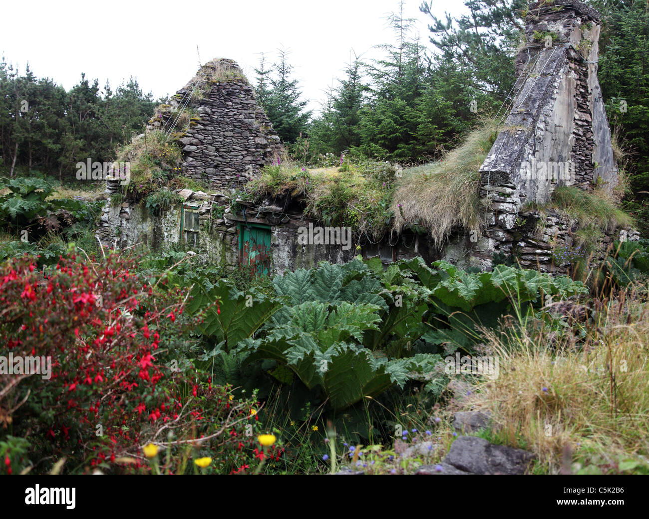 Ruined cottage Cill Rialaig Stock Photo