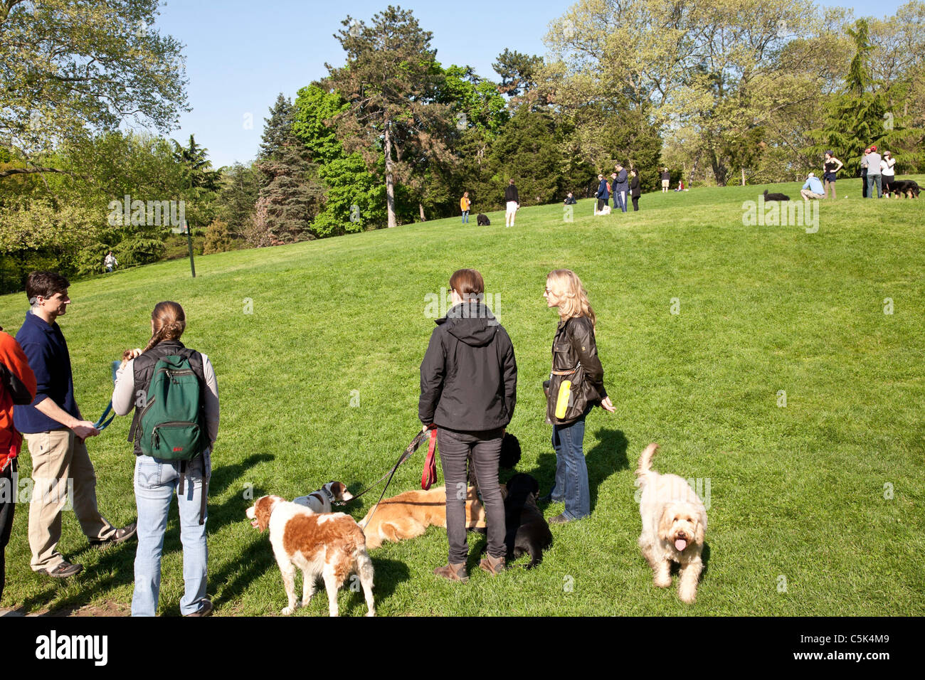 Can Dogs Go To Central Park