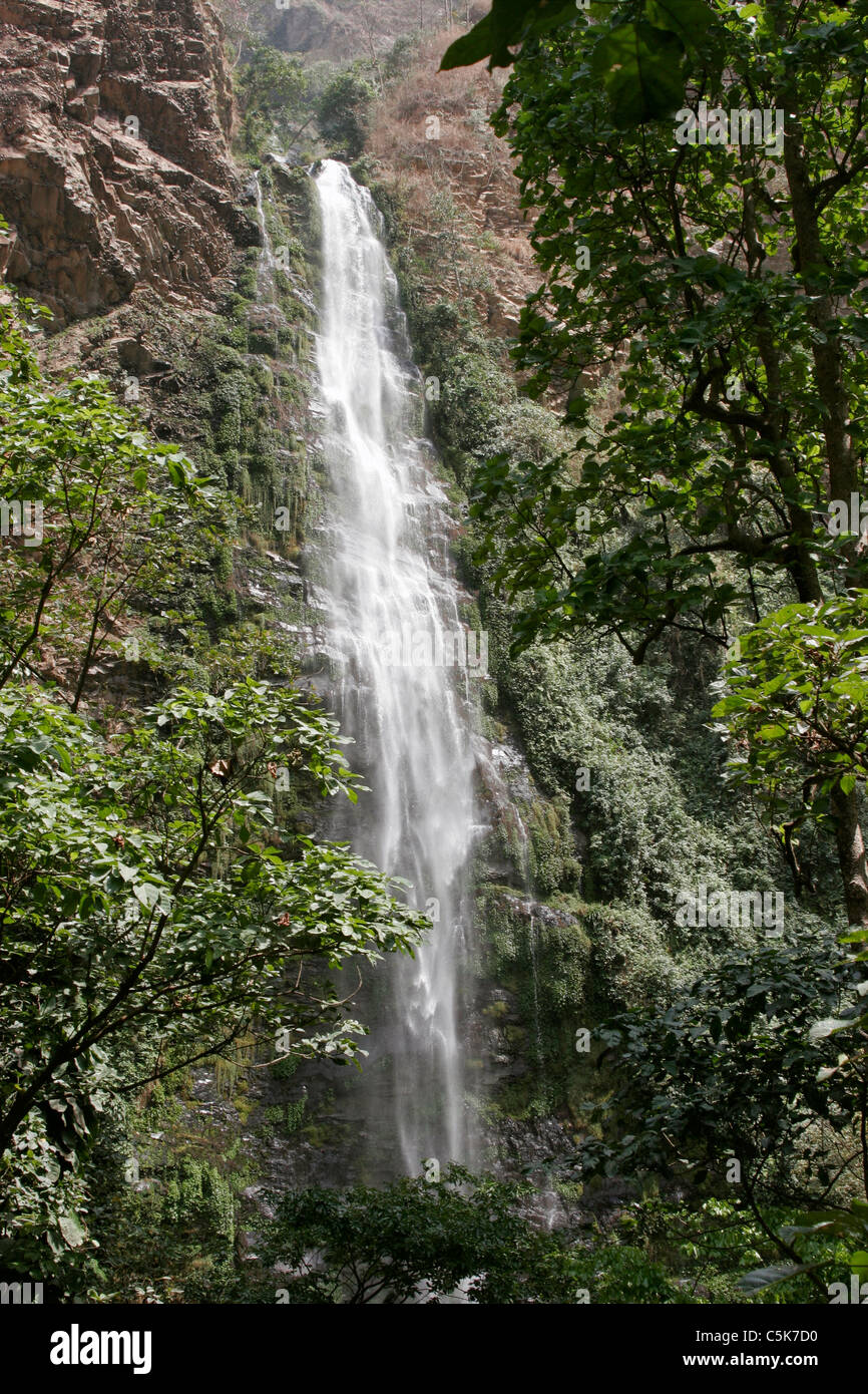 Wli falls, plunging 30m in rainforest, Ghana. Highest waterfall in West Africa. Stock Photo