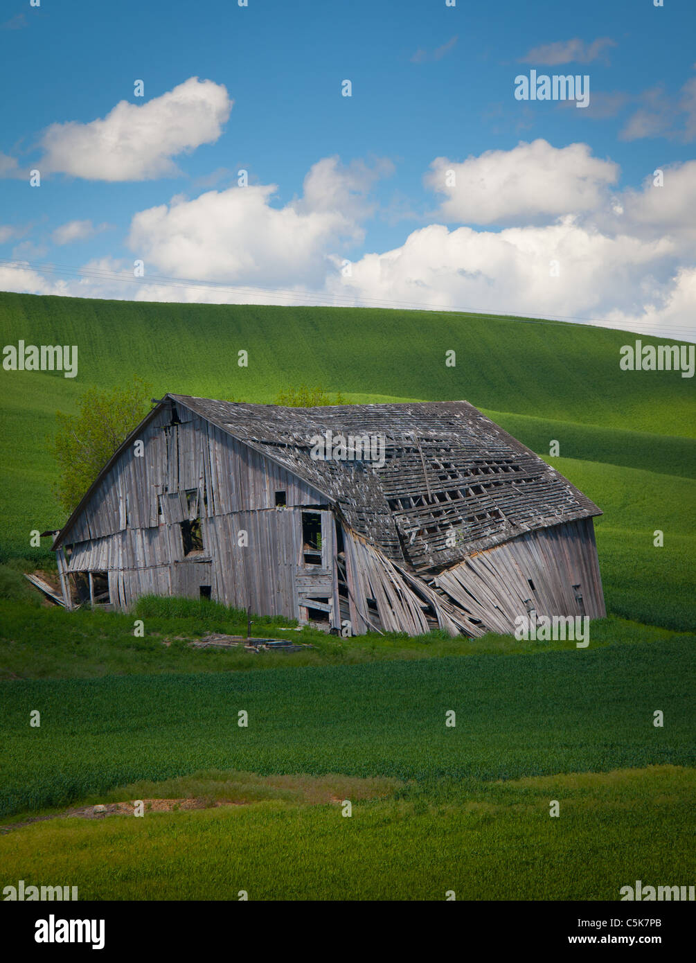 Dilapidated barn building in the agricultural Palouse area of eastern Washington state Stock Photo