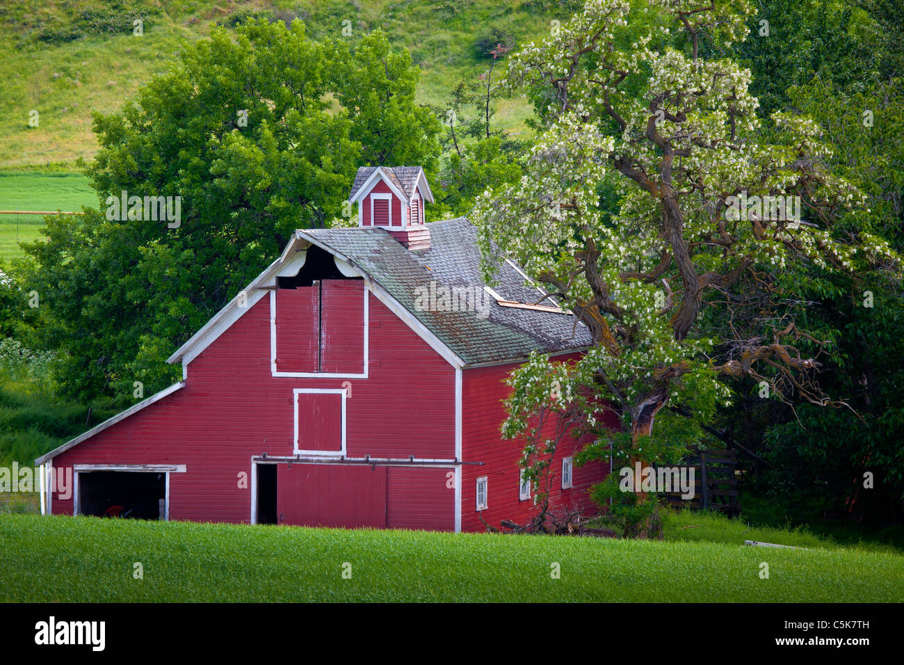 Barn Building In The Agricultural Palouse Area Of Eastern