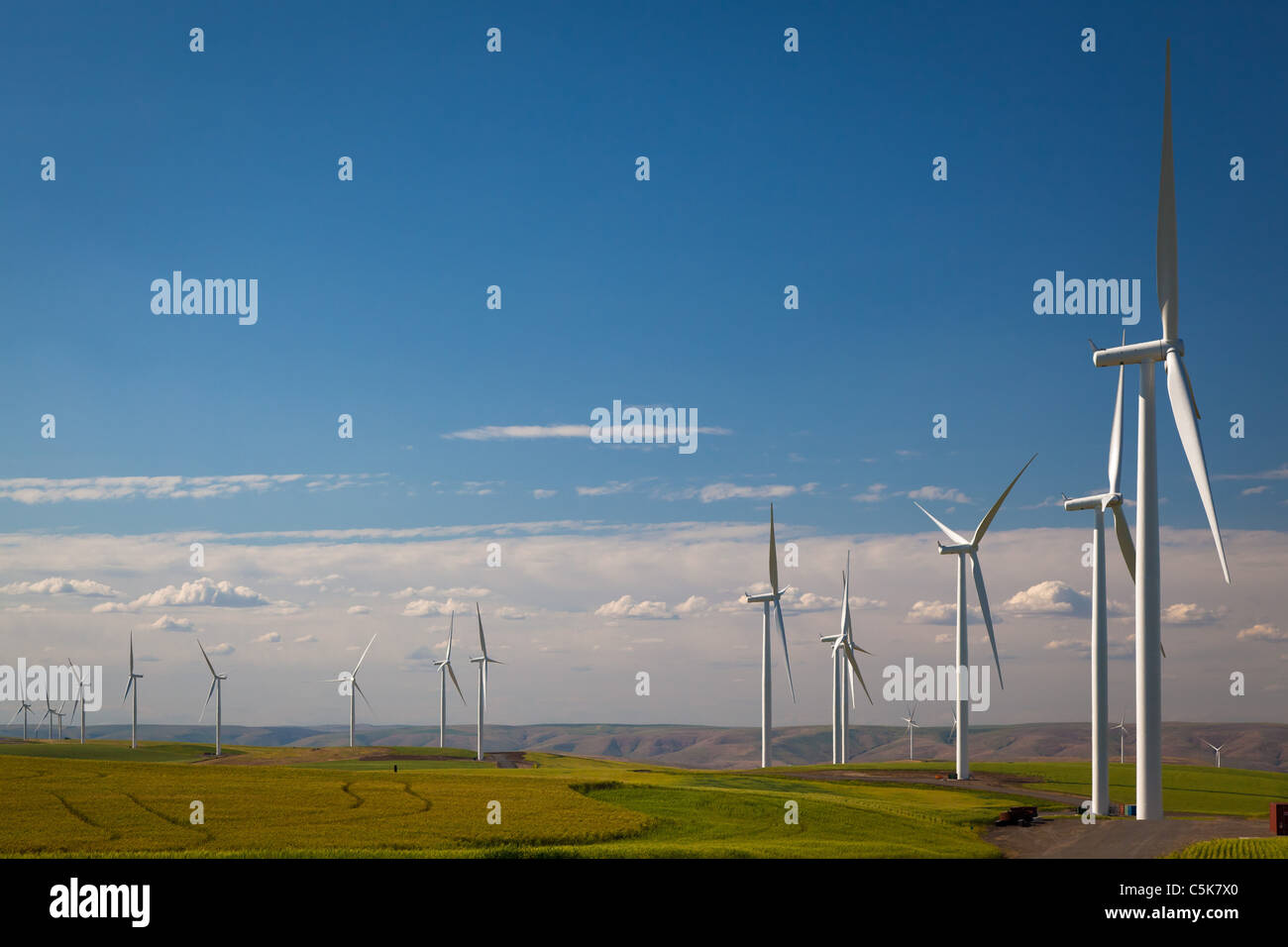 Wind turbines in the Lower Snake River Wind Energy Project Stock Photo