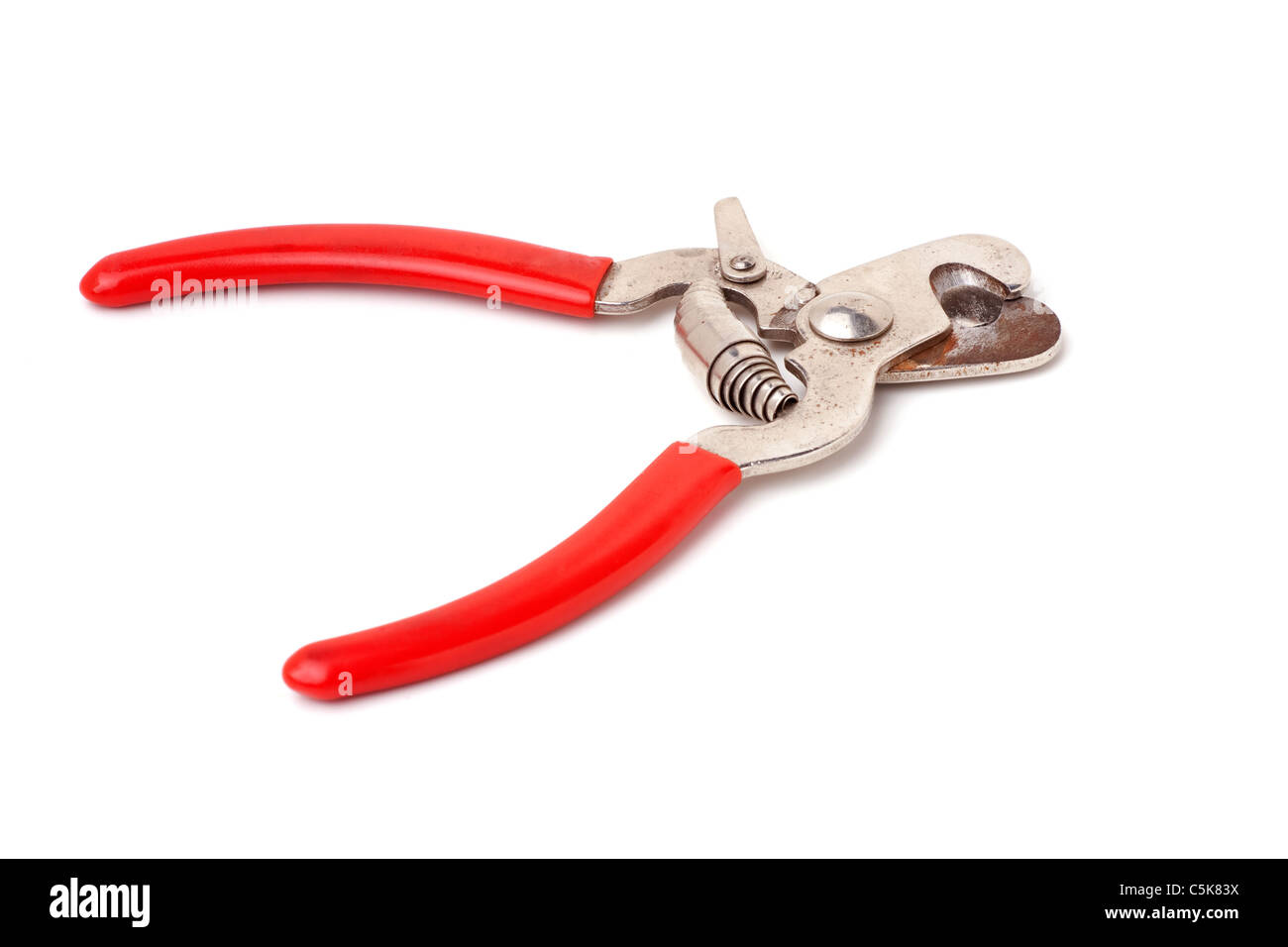 A clipper tool used for trimming pets nails.  Dog nail clippers. Stock Photo