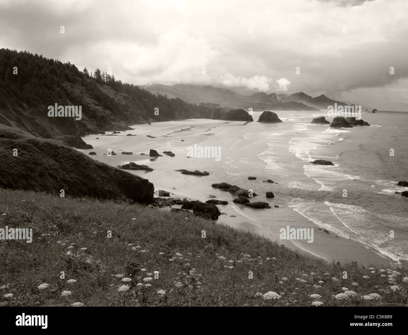 Pacific coast near Tillamook, Oregon Stock Photo