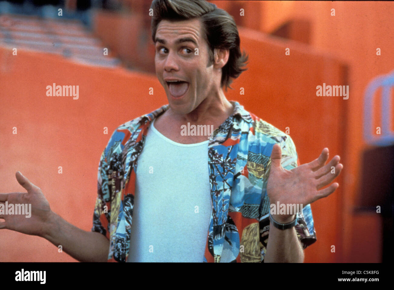 Ace Ventura: Pet Detective  Year: 1994 USA Directed by Tom Shadyac Jim Carrey Stock Photo