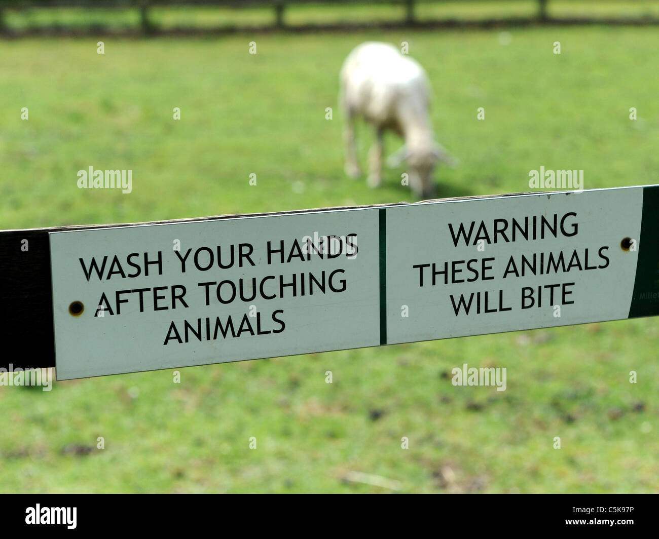 Warning sign wash your hands after touching animals, these animals bite. Stock Photo