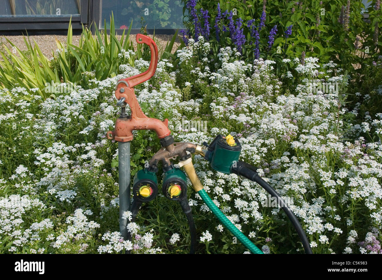Drip irrigation system in flower garden, Taos, New Mexico Stock Photo