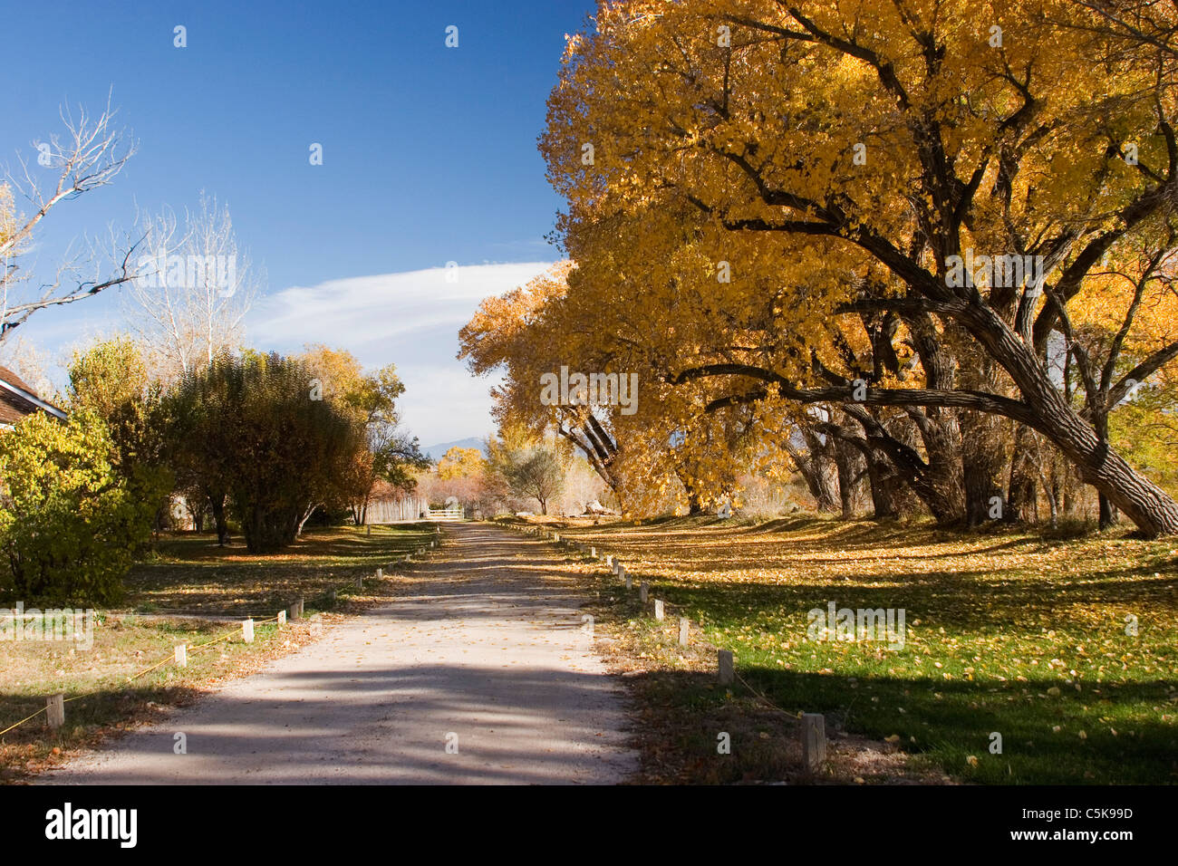 Entry to Los Luceros with fall cottonwoods, New Mexico Stock Photo