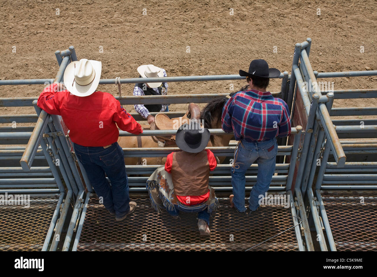 Cowboys get a wild horse ready for a ride. Stock Photo