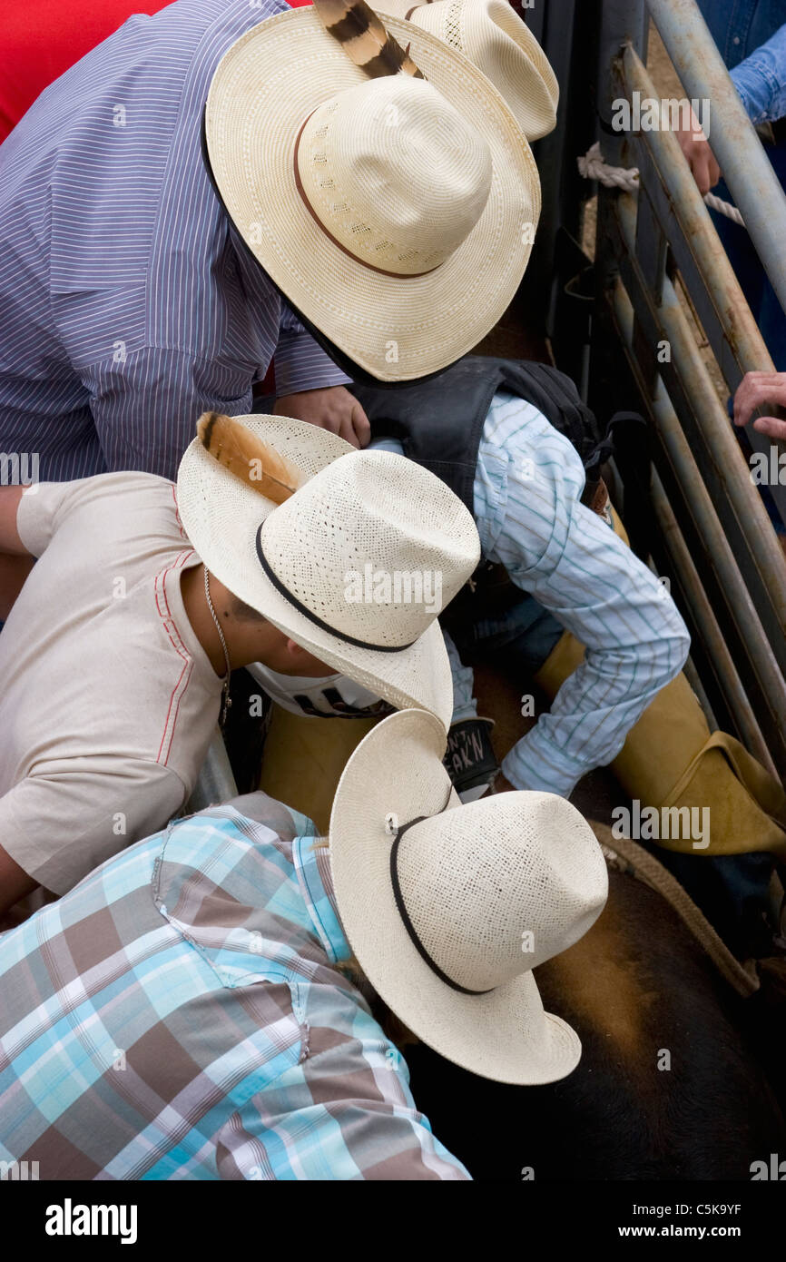 Cowboys watch as a bull is prepared for the next wild ride. Stock Photo