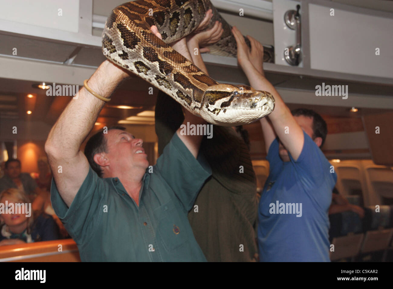 Snakes on a Plane  Year: 2006 USA Director: David R. Ellis snake trainer   Jules Sylvester  Shooting picture Stock Photo