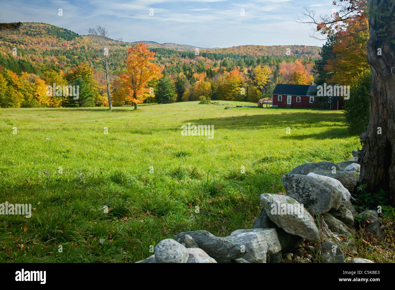 Colorful maple tree in grass field with mountains in background Stock ...