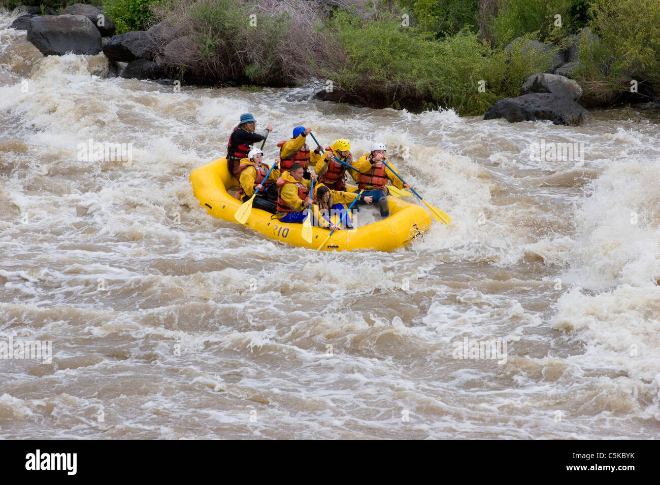 Rafters paddle fiercely on the Rio Grande River Stock Photo