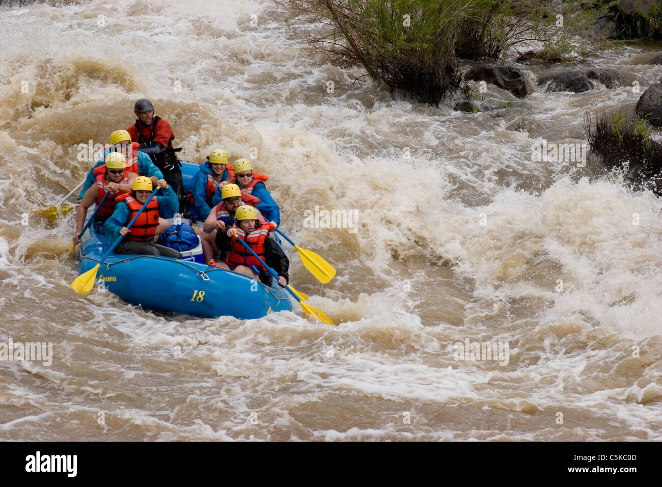 Fly Raftor Rafters hi-res stock photography and images - Alamy