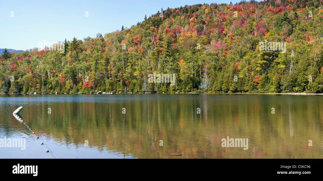 Fall Trees in color behind Heart Lake. Stock Photo