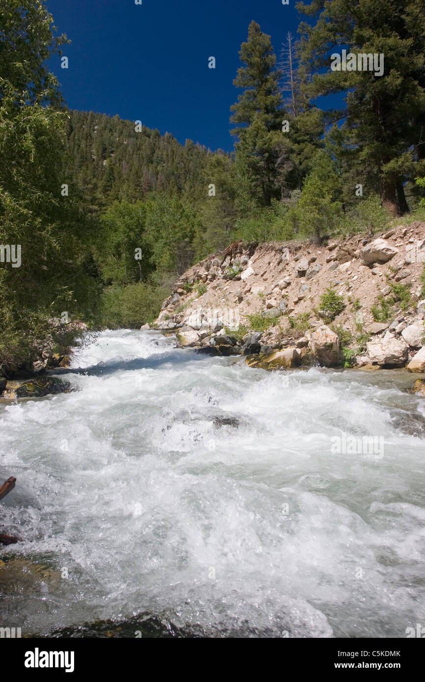 Rio hondo river hires stock photography and images Alamy