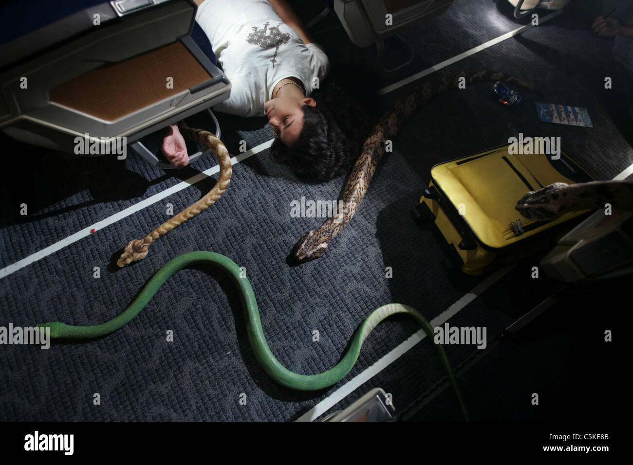 Snakes on a Plane  Year : 2006 - USA Agam Darshi  Director : David R. Ellis Stock Photo